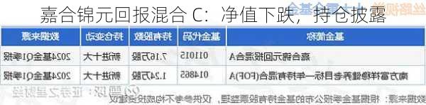 嘉合锦元回报混合 C：净值下跌，持仓披露