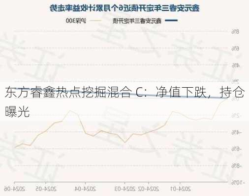 东方睿鑫热点挖掘混合 C：净值下跌，持仓曝光