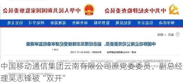 中国移动通信集团云南有限公司原党委委员、副总经理吴志锋被“双开”