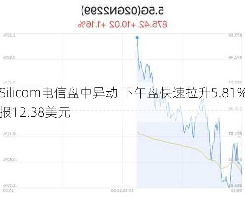 Silicom电信盘中异动 下午盘快速拉升5.81%报12.38美元