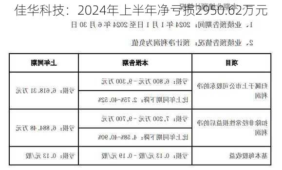 佳华科技：2024年上半年净亏损2950.62万元