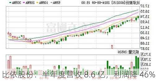 比依股份：半年度营收 8.6 亿，利润降 46%