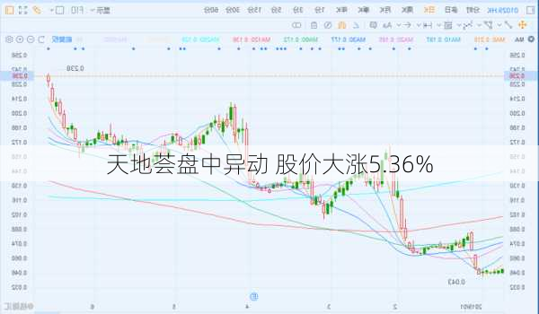 天地荟盘中异动 股价大涨5.36%