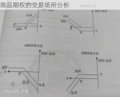 商品期权的交易场所分析