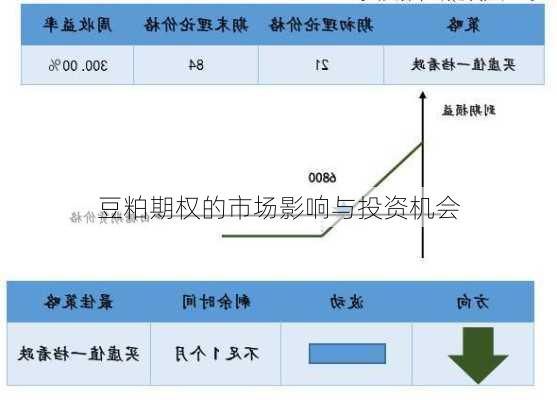 豆粕期权的市场影响与投资机会