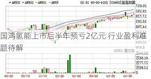 国鸿氢能上市后半年预亏2亿元 行业盈利难题待解