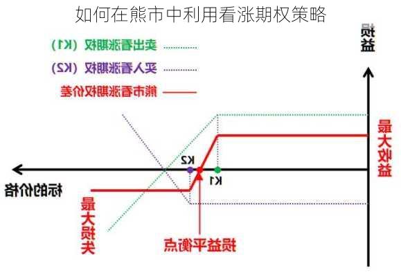 如何在熊市中利用看涨期权策略