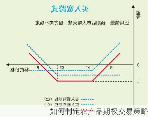 如何制定农产品期权交易策略