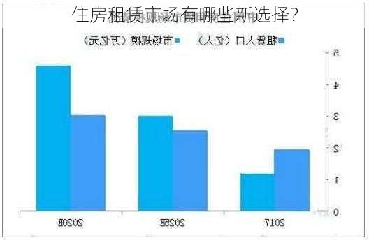 住房租赁市场有哪些新选择？