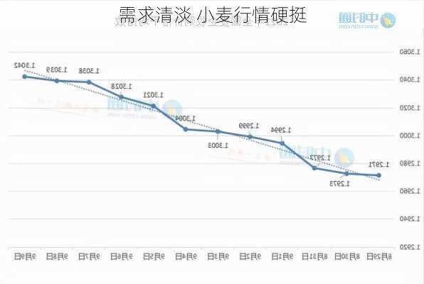 需求清淡 小麦行情硬挺