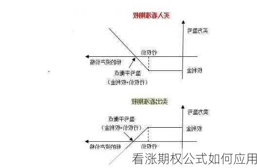 看涨期权公式如何应用