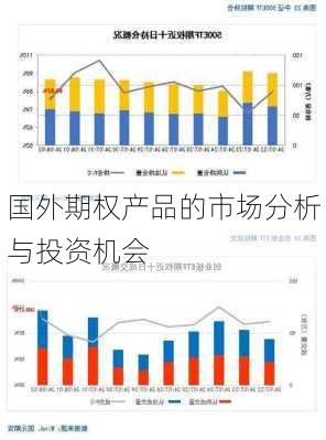 国外期权产品的市场分析与投资机会