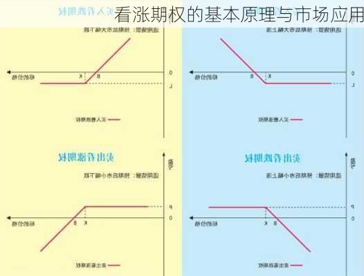 看涨期权的基本原理与市场应用