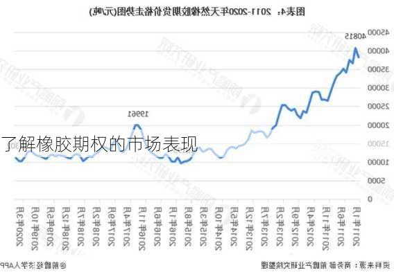 了解橡胶期权的市场表现