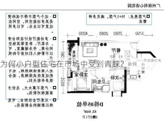 为何小户型住宅在市场中受到青睐？