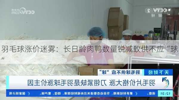 羽毛球涨价迷雾：长日龄肉鸭数量锐减致供不应“球”