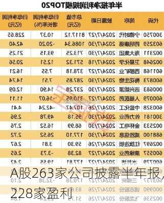 A股263家公司披露半年报，228家盈利