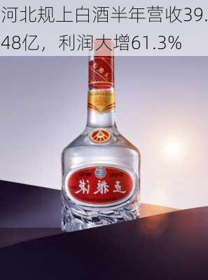 河北规上白酒半年营收39.48亿，利润大增61.3%