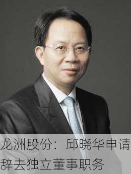 龙洲股份：邱晓华申请辞去独立董事职务