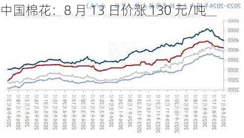 中国棉花：8 月 13 日价涨 130 元/吨