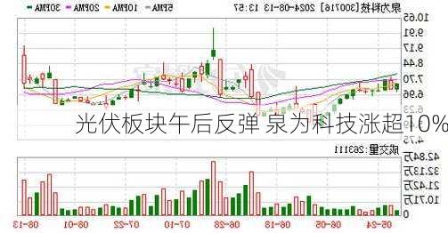 光伏板块午后反弹 泉为科技涨超10%