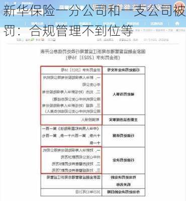 新华保险一分公司和一支公司被罚：合规管理不到位等