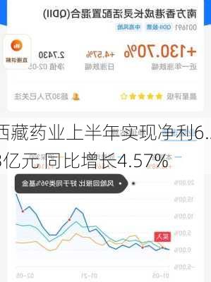 西藏药业上半年实现净利6.23亿元 同比增长4.57%