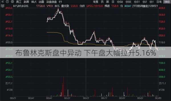 布鲁林克斯盘中异动 下午盘大幅拉升5.16%