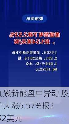 九紫新能盘中异动 股价大涨6.57%报2.92美元