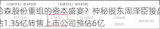 哈森股份重组的资本盛宴？神秘股东周泽臣接盘估1.35亿转售上市公司预估6亿