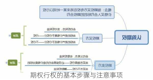 期权行权的基本步骤与注意事项