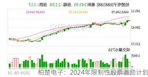 柏楚电子：2024年限制性股票激励计划