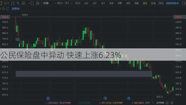 公民保险盘中异动 快速上涨6.23%