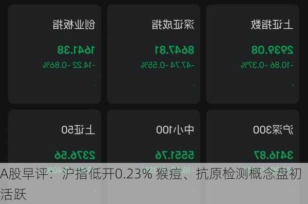 A股早评：沪指低开0.23% 猴痘、抗原检测概念盘初活跃