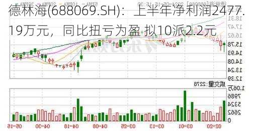 德林海(688069.SH)：上半年净利润2477.19万元，同比扭亏为盈 拟10派2.2元