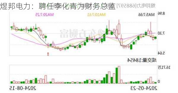 煜邦电力：聘任李化青为财务总监