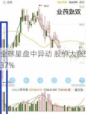 全球星盘中异动 股价大涨5.37%