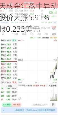 天成金汇盘中异动 股价大涨5.91%报0.233美元