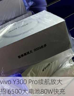 vivo Y300 Pro续航放大招 6500大电池80W快充