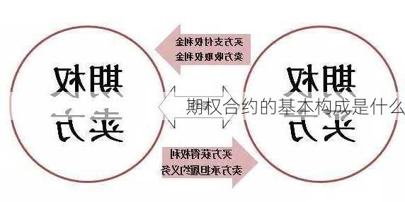 期权合约的基本构成是什么