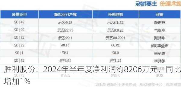 胜利股份：2024年半年度净利润约8206万元，同比增加1%