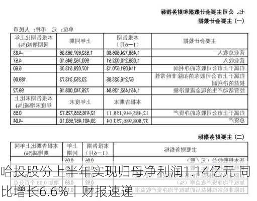 哈投股份上半年实现归母净利润1.14亿元 同比增长6.6%丨财报速递