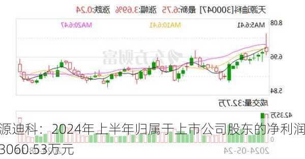 天源迪科：2024年上半年归属于上市公司股东的净利润约3060.53万元