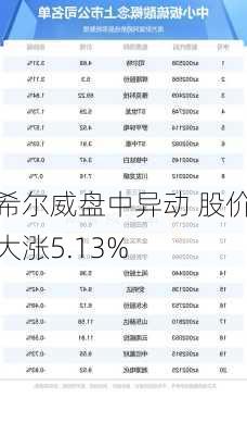 希尔威盘中异动 股价大涨5.13%