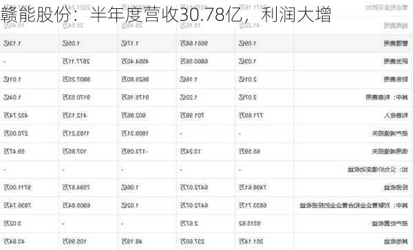 赣能股份：半年度营收30.78亿，利润大增