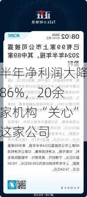 半年净利润大降86%，20余家机构“关心”这家公司