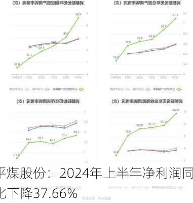 平煤股份：2024年上半年净利润同比下降37.66%