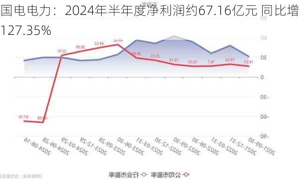 国电电力：2024年半年度净利润约67.16亿元 同比增加127.35%