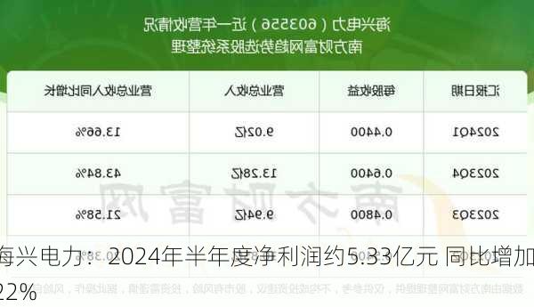 海兴电力：2024年半年度净利润约5.33亿元 同比增加22%