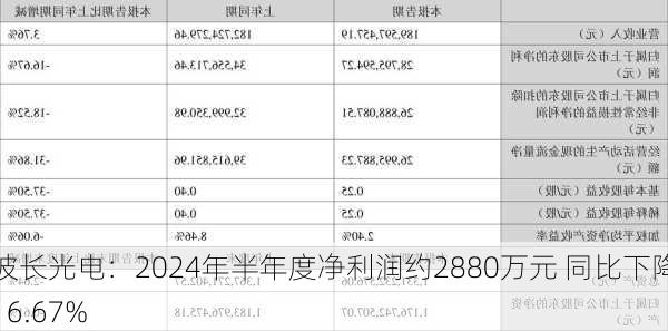 波长光电：2024年半年度净利润约2880万元 同比下降16.67%